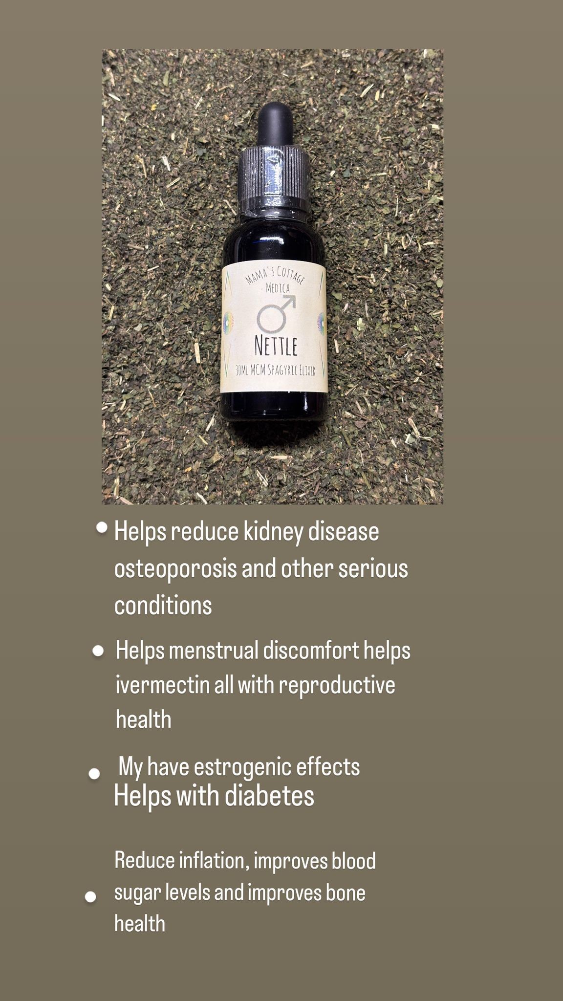 524979402_1151405500354559_3423231069321219740_n (1)